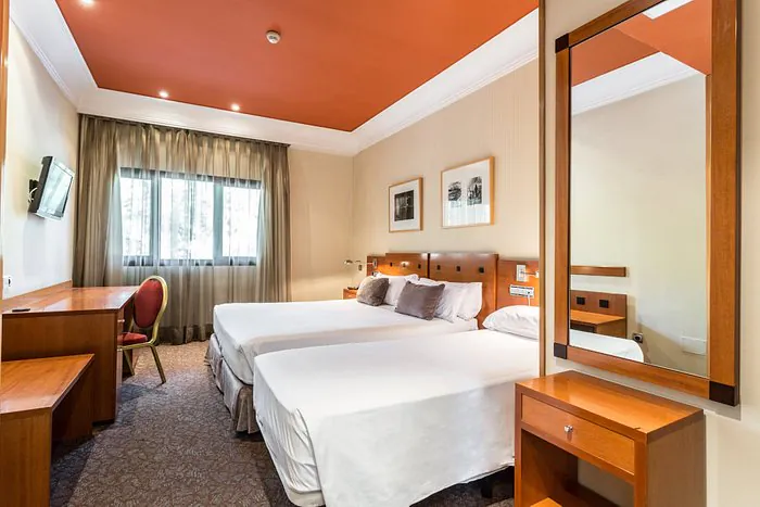 Petit Palace Arturo Soria pet friendly3