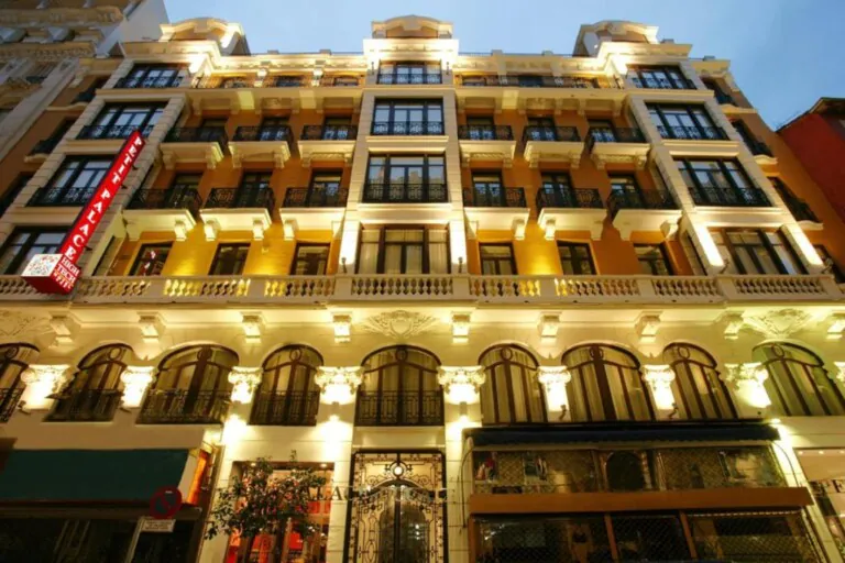 Petit Palace Chueca pet friendly3 1 768x512