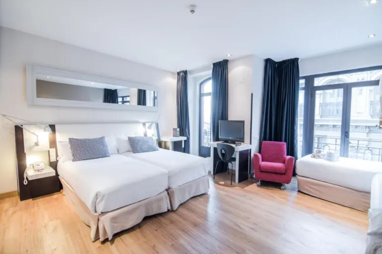 Petit Palace Chueca pet friendly4 768x512