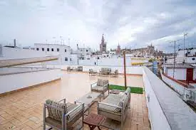 Petit Palace Marques Santa Ana pet friendly4