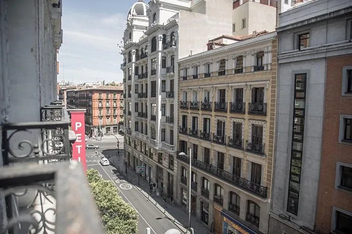 Petit Palace Plaza Espana pet friendly4