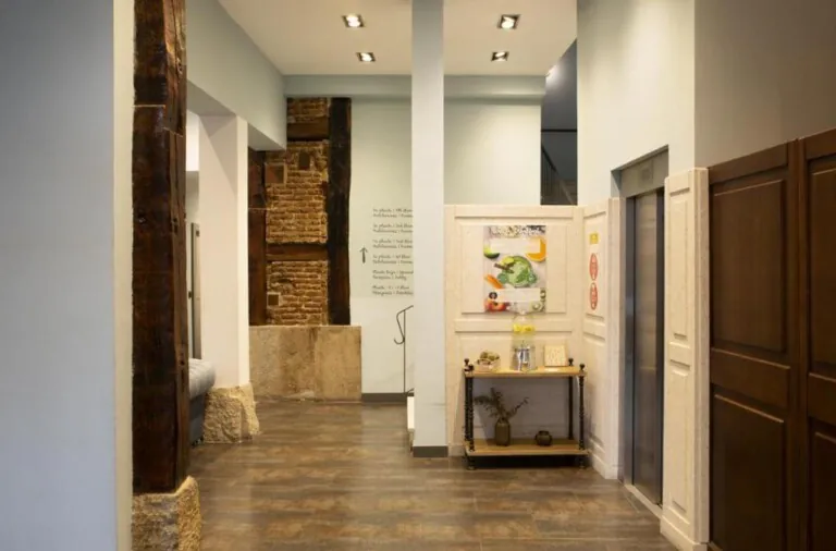 Petit Palace Plaza del Carmen pet friendly4 768x506