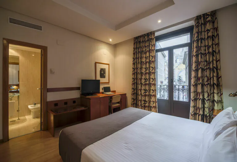 Petit Palace Preciados pet friendly4 768x524