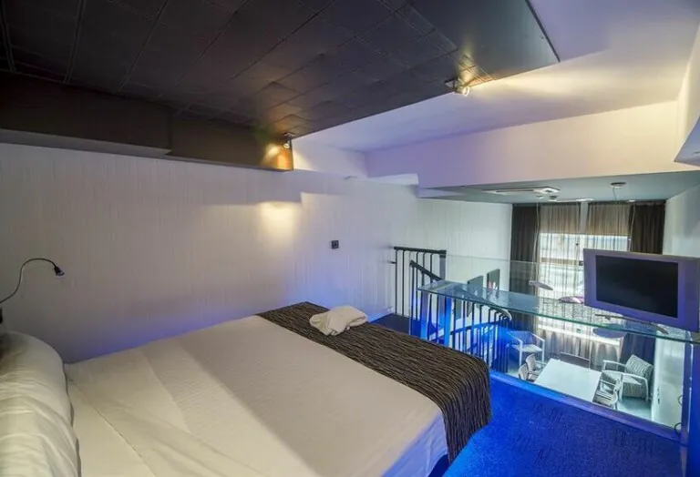 Petit Palace President Castellana pet friendly2 768x524