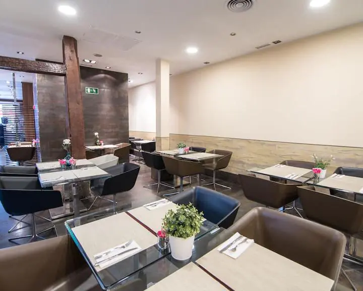 Petit Palace Tres Cruces pet friendly3