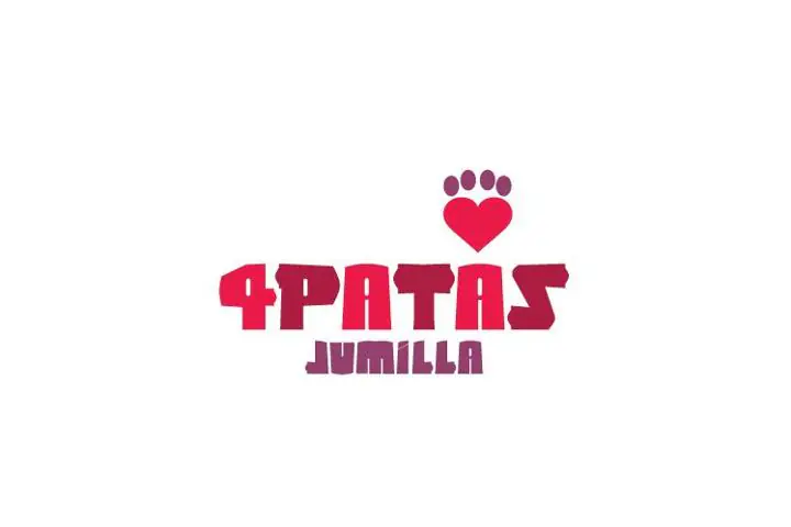 4PATAS logo 1