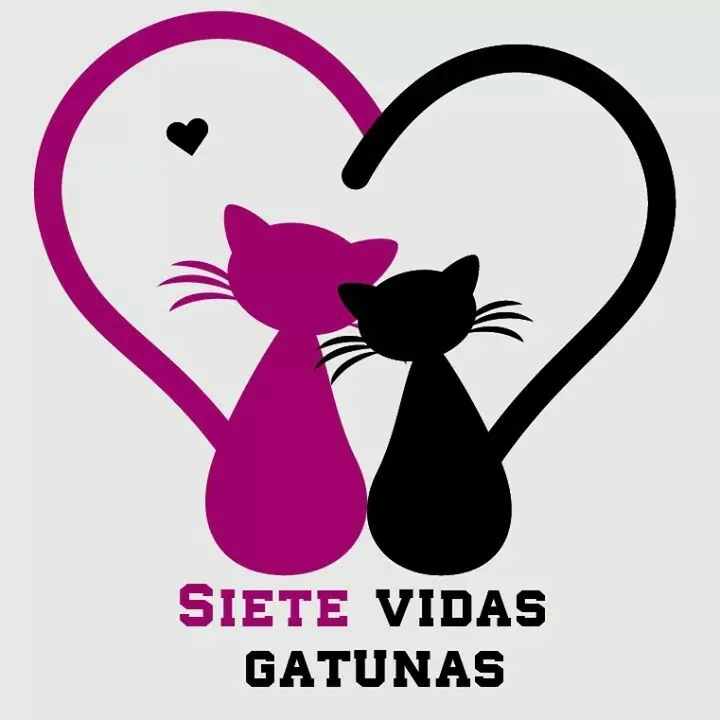 7VidasGatunas logo 1