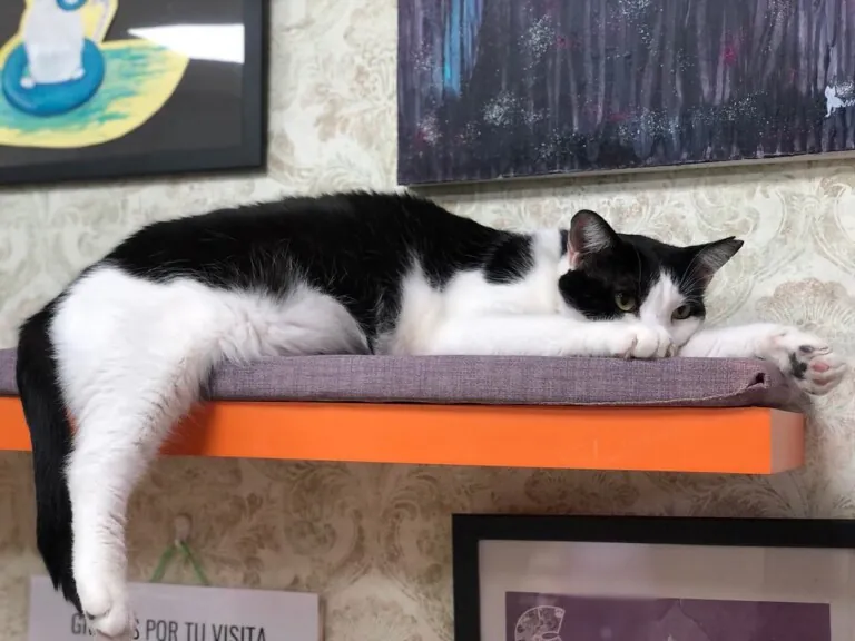 Ghato Verde 1 768x576