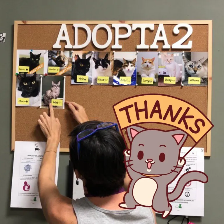 Ghato Verde 2 768x768