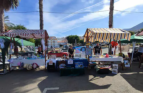 RinconcitoCanino 6 1