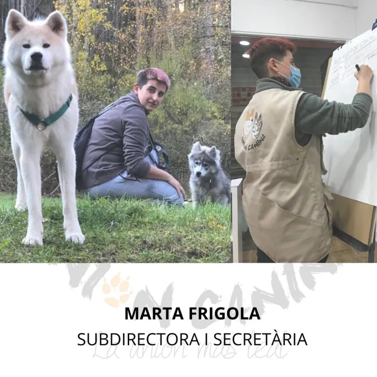 UNION CANINA2 768x768