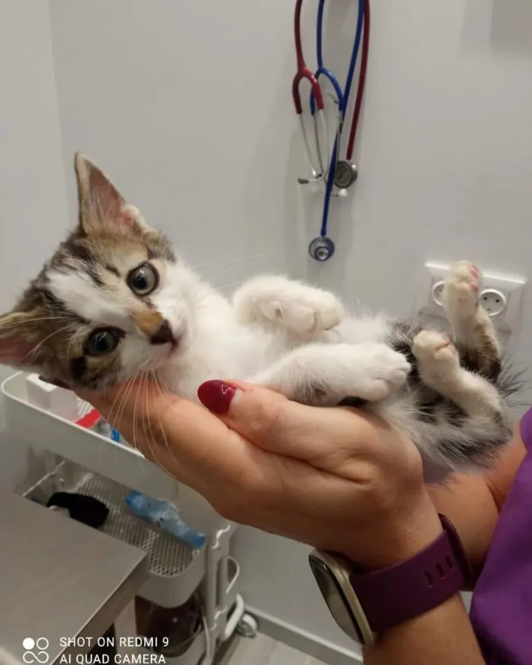 GeoCat Cartagena 2 768x960