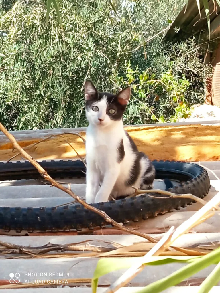 GeoCat Cartagena 4 768x1024