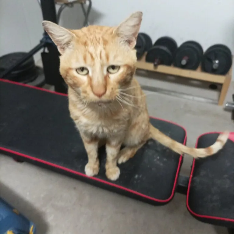 GeoCat Cartagena 6 768x768