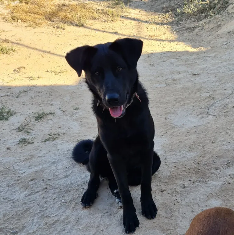 RefugioByron 1 768x771