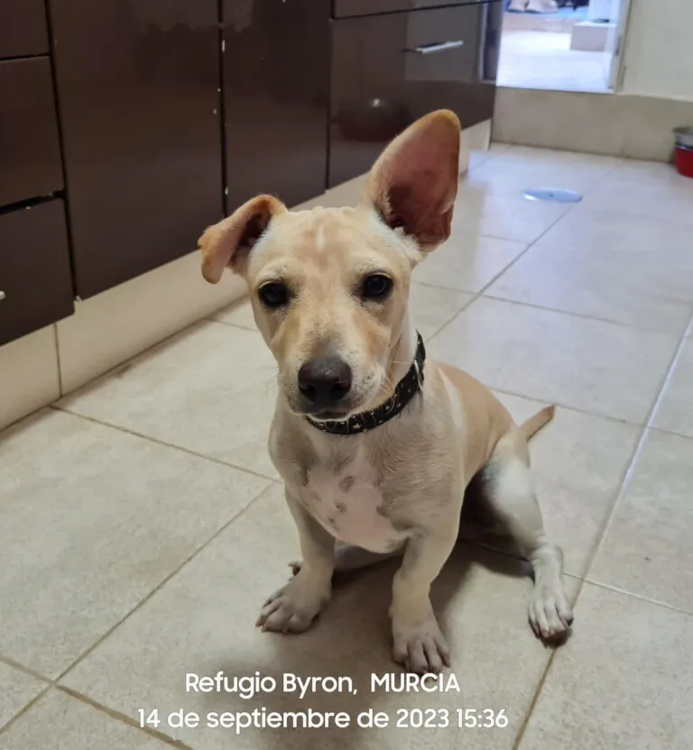 RefugioByron 3 768x832