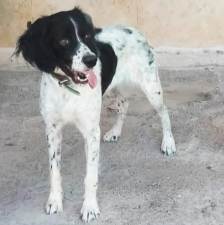 RefugioByron 7 768x771