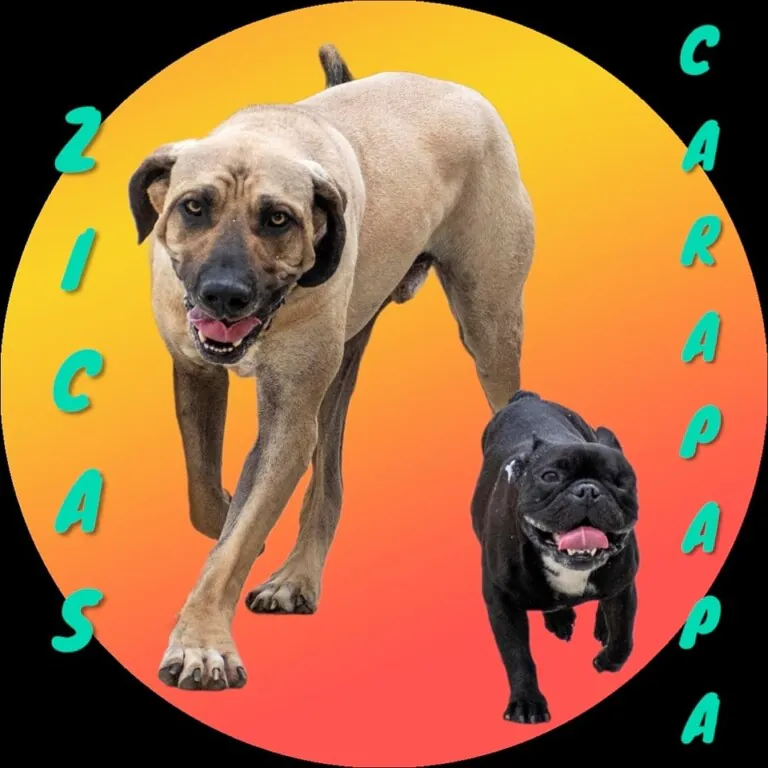 Superppperros 4 768x768