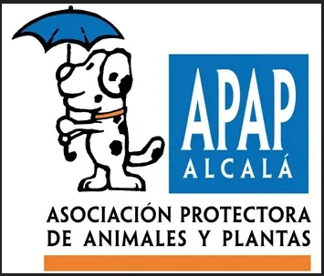APAP logo1 1