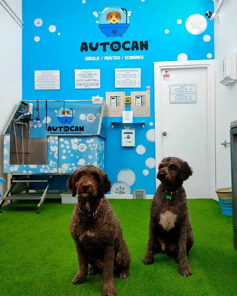 Autocan2 1