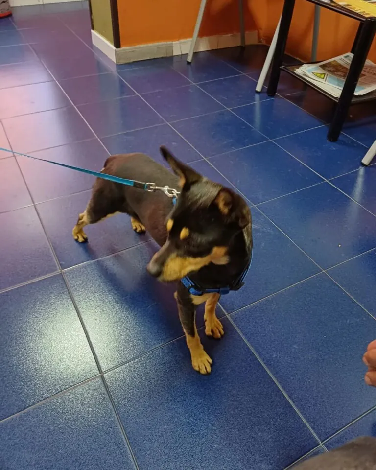 El Arca de Zeus 2 768x960