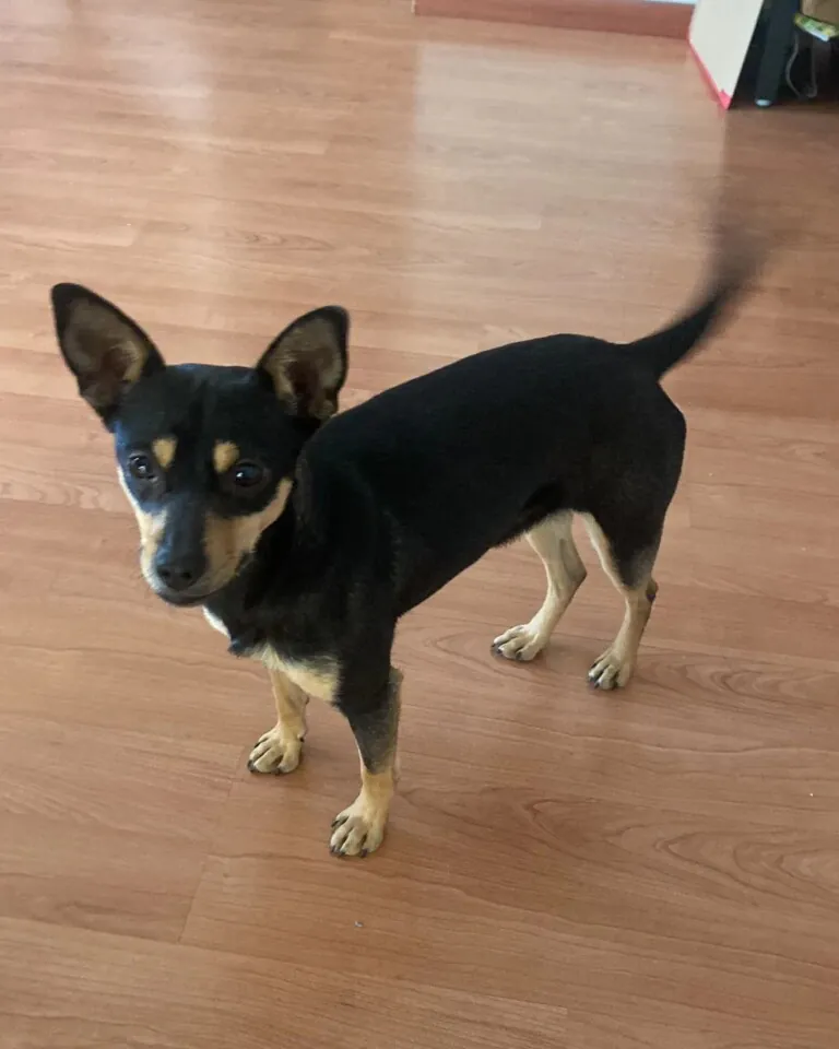 El Arca de Zeus 3 768x960