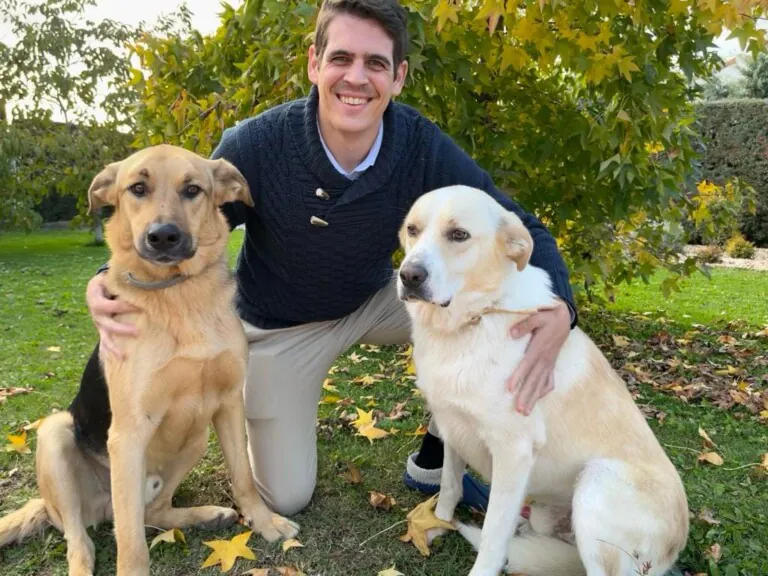 El Arca de Zeus 4 768x576