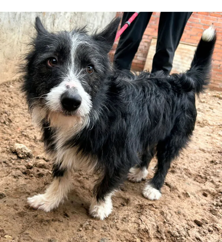 El Arca de Zeus 6 1 768x837