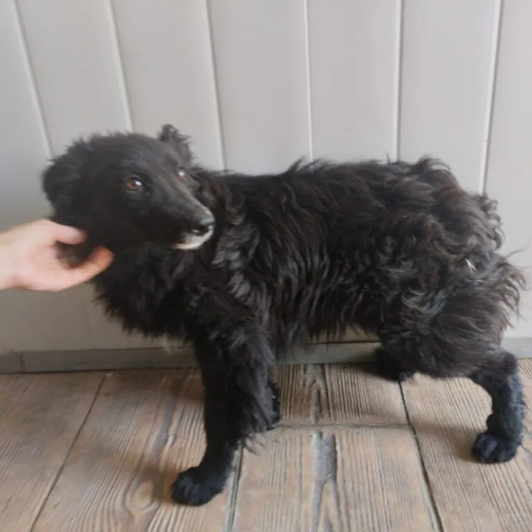 El Arca de Zeus 7 768x768