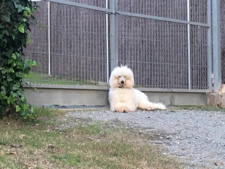 Espai Can Prats2 768x576