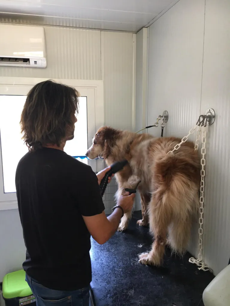 Espai Can Prats3 768x1024