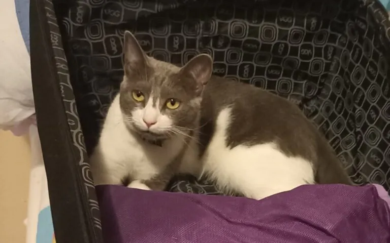 Fundacion Luna 768x480