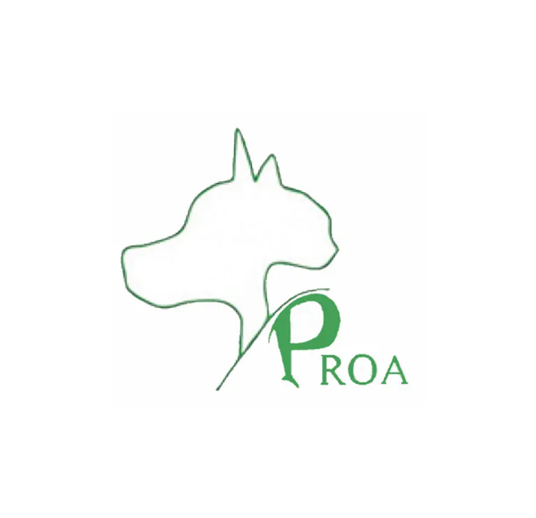PROA logo2 3 768x742