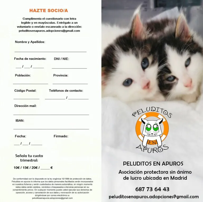 PeluditosEnApuros 4 768x763
