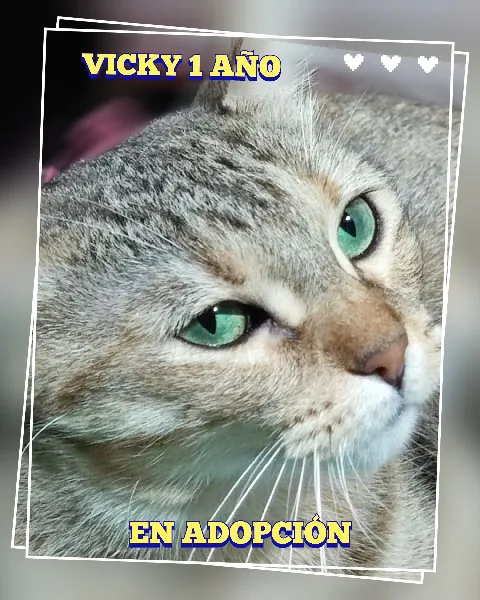 PeluditosEnApuros 6