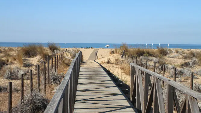 Playa Espigon 1611149134 143870283 667x375