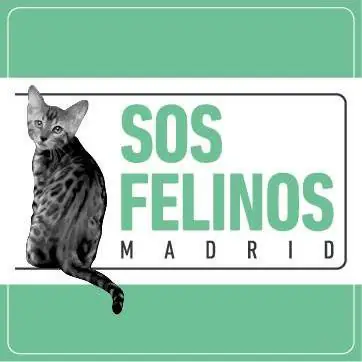 SOS Felinos-logo SOS Felinos-logo