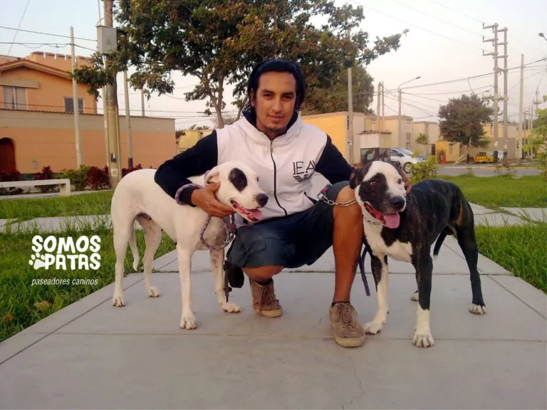 Somos Patas BCN 4 768x576