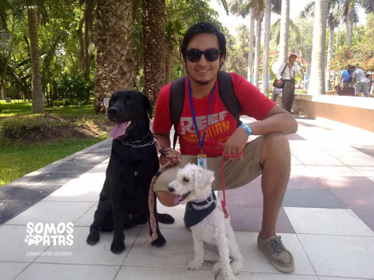 Somos Patas BCN 5 768x576