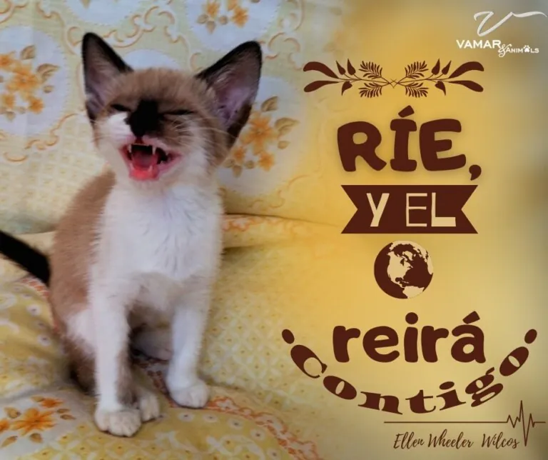 VAMARAnimals 4 768x644