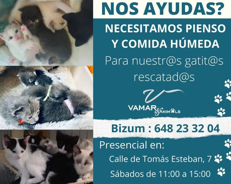 VAMARAnimals 5 768x614