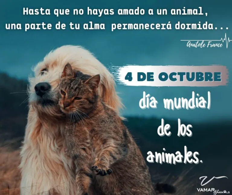 VAMARAnimals 6 768x644