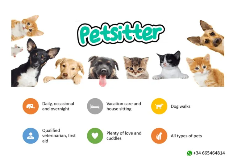 Vet Pet Sitter Barcelona 2 768x543