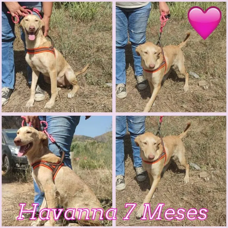 311106178 3232518783632151 6534814459798309840 n 768x768