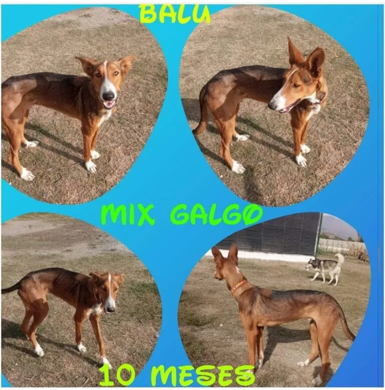 326994585 2933614076782739 1384730290498614590 n 768x777