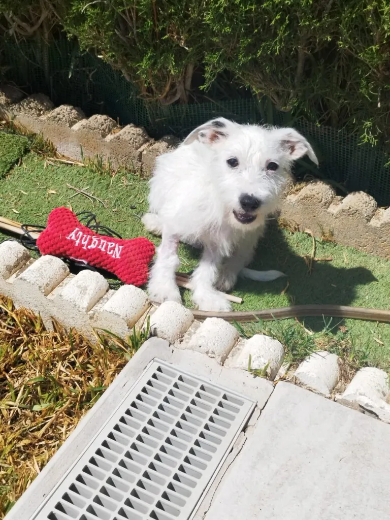 347546887 1189295825067673 3508342705250195768 n 768x1024