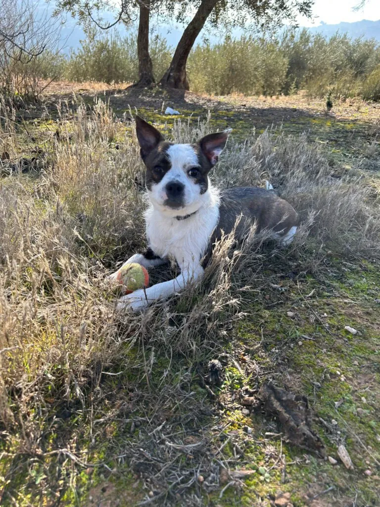 351567844 532102552297223 3338531829058169087 n 768x1024