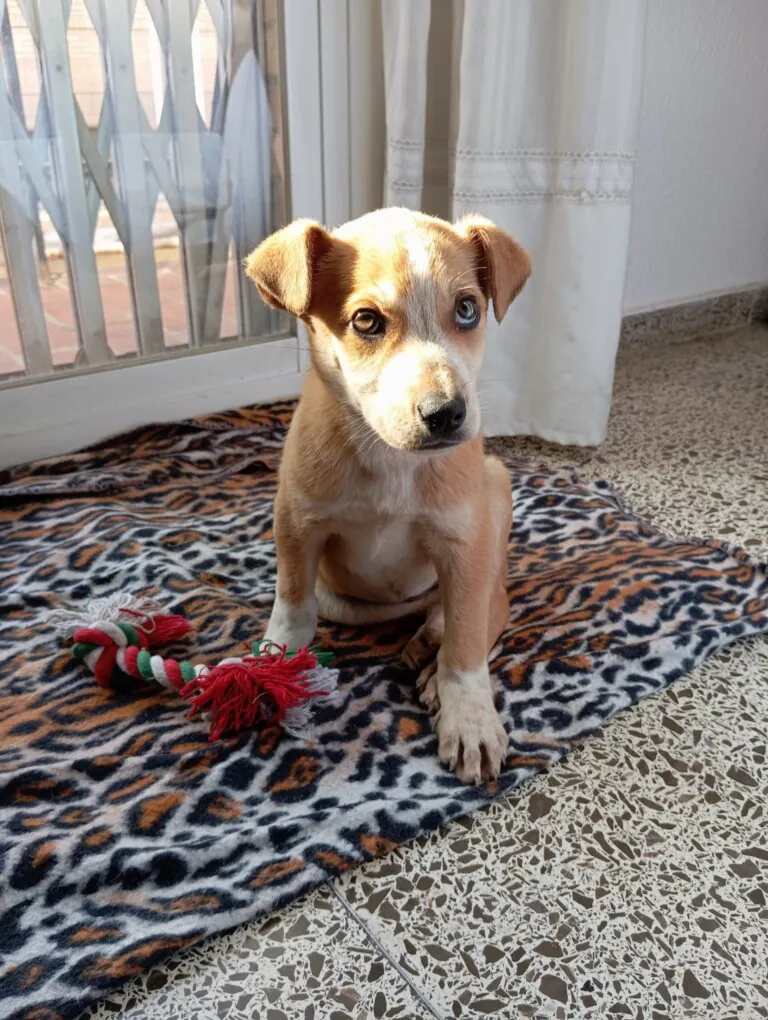 410824931 745693710923854 5279901954602920312 n 768x1020