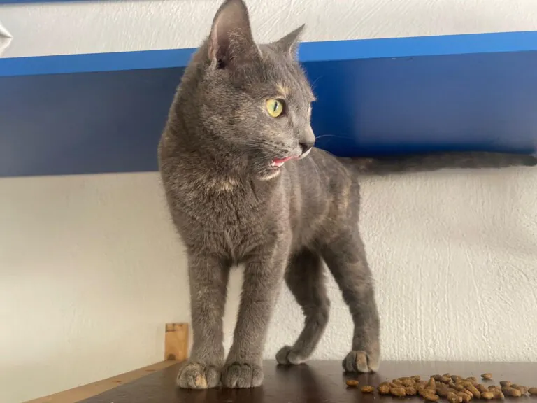 426284083 346192461718011 5205608143120001507 n 768x576