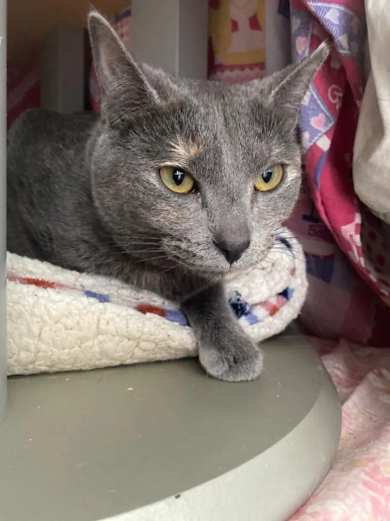 427462503 346192491718008 4029198579646181085 n 768x1024